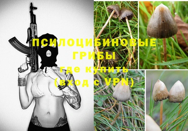 мдпв Беломорск