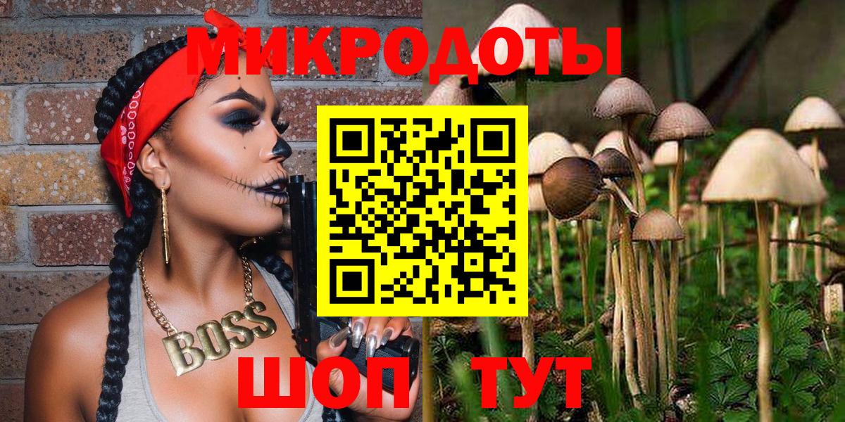 Псилоцибиновые грибы GOLDEN TEACHER  хочу наркоту  Вязники  Вход с VPN  Галлюциногенные грибы прущие грибы 